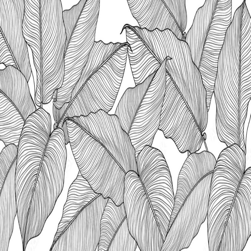 Papier Peint Jungle et Tropical Grand Feuillage Noir et Blanc