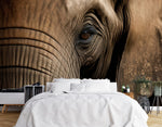 Papier Peint Safari Beige dans une chambre à coucher apaisante avec lit blanc, table de chevet moderne, et plantes vertes. Gros plan détaillé du visage d'un éléphant mettant en avant ses textures et ses rides.