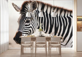 Tapisserie Savane Noir Et Blanc dans une salle à manger contemporaine avec table en bois naturel, chaises beiges et éclairage suspendu blanc. Illustration d'un zèbre en gros plan dans une savane brumeuse, mettant en valeur les motifs de rayures de sa tête.