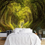 Tapisserie Murale Chemin Foret dans une chambre à coucher apaisante avec lit blanc, table de chevet moderne, et plantes vertes. Illustration d'un chemin forestier enchanteur bordé d'arbres formant une voûte naturelle, avec un sentier recouvert de feuilles et de mousse, dans un style réaliste.