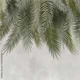 Papier Peint Plante Tombante | La Tropicale Déco 🌴