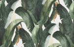 Papier Peint Jungle et Tropical <br/> Plante Verte